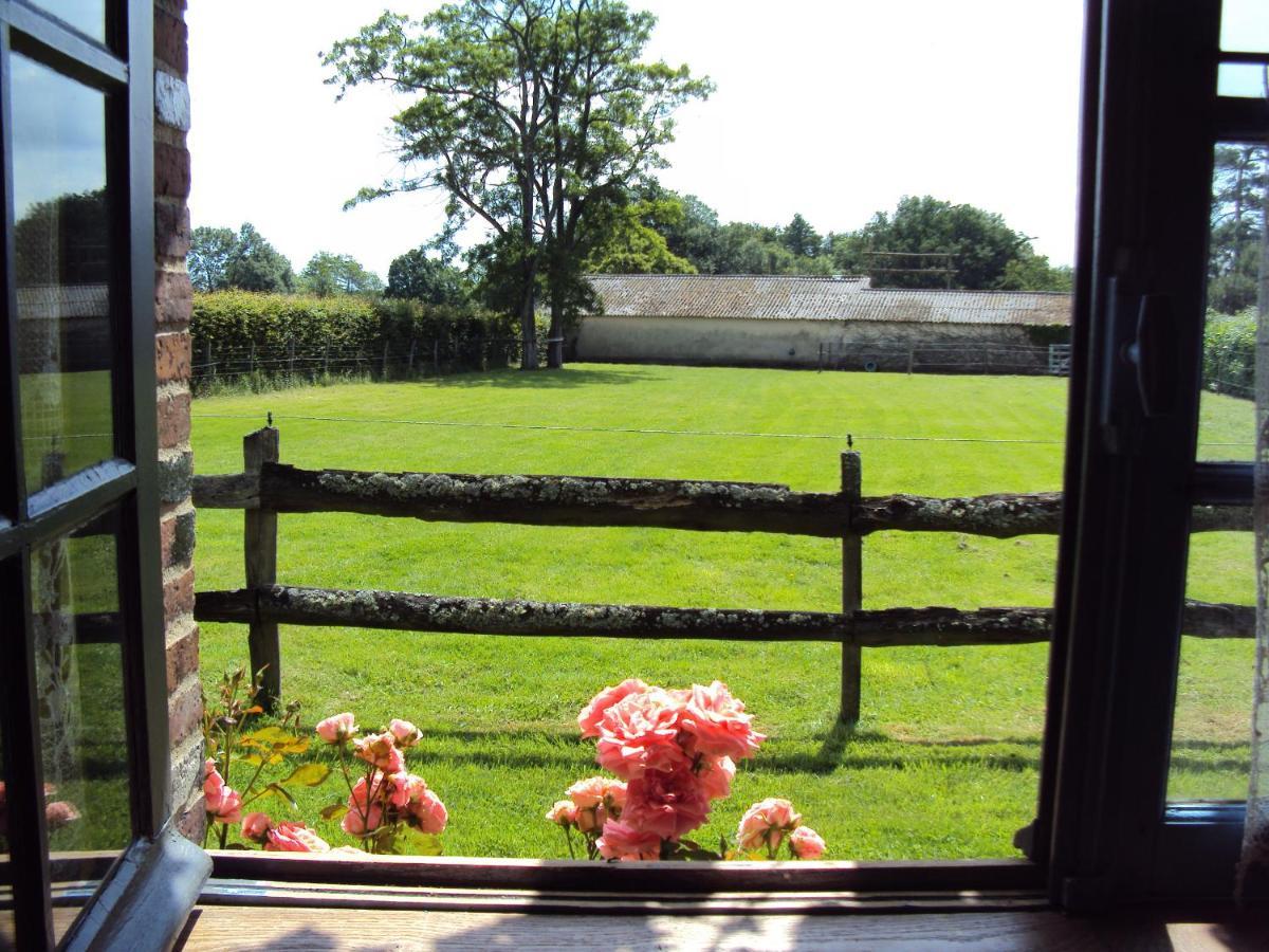 Bed and Breakfast La Pastorale La Puisaye Esterno foto
